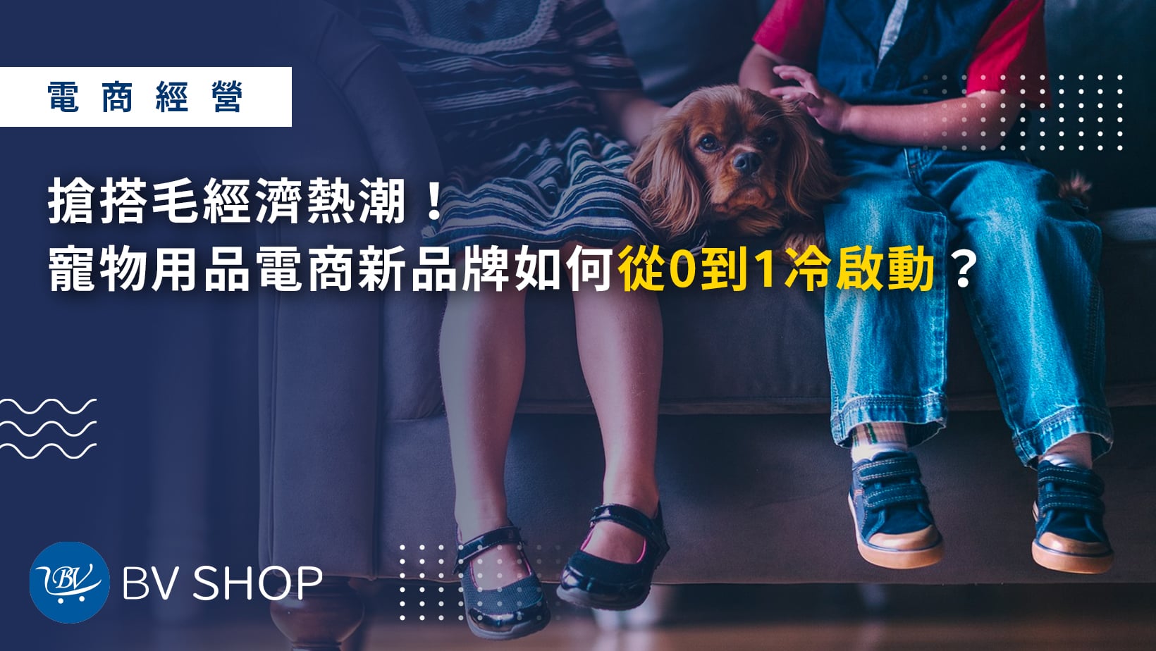 搶搭毛經濟熱潮！寵物用品電商新品牌如何從0到1冷啟動？